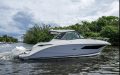 Sea Ray 320 Sundancer OB (2023)