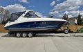 Sea Ray 310 Sundancer (2011)